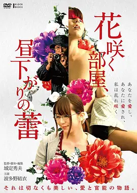 花样年华 经典封面